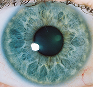 foto iride occhio umano 186x174